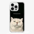 Put The Phone Down Case
