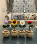 Four Pot Set