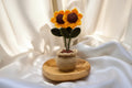 Double Sunflower Pot