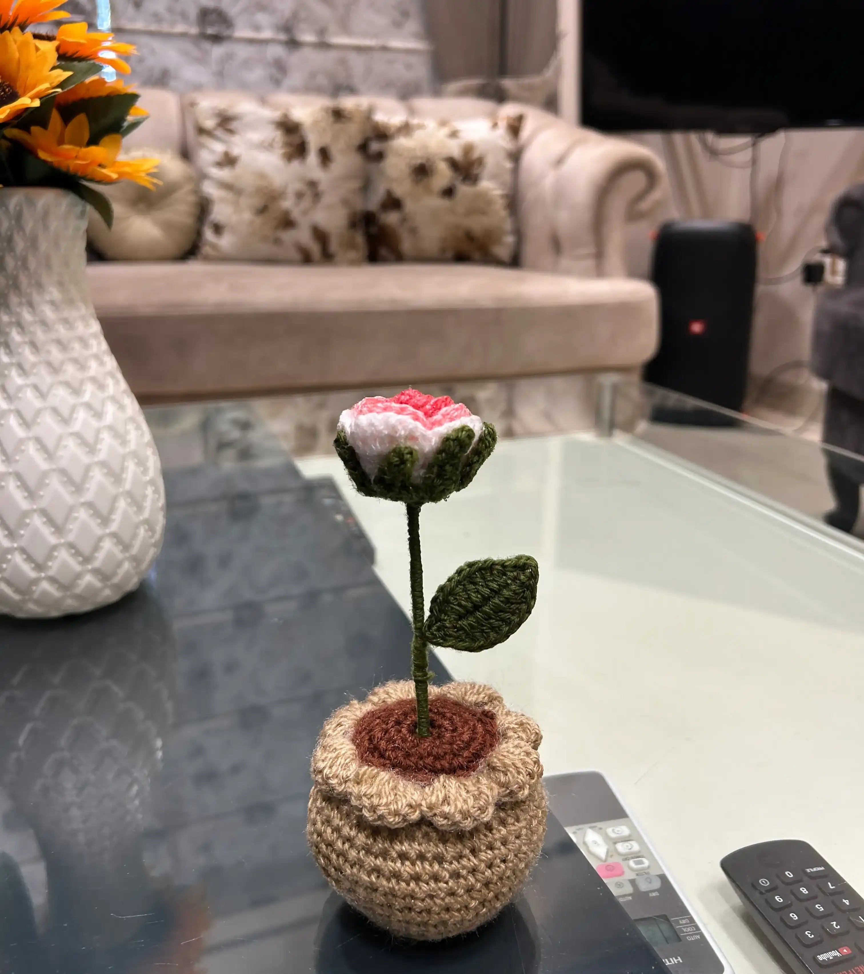 Crochet Shaded Rose Pot